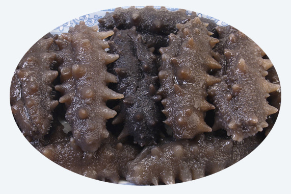 electric sea cucumber dryer machine fruit