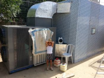 Israel customer drying tobacco leaves