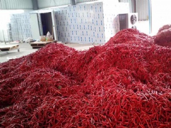 Drying pepper