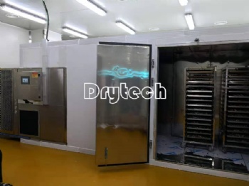 Fish drying machine