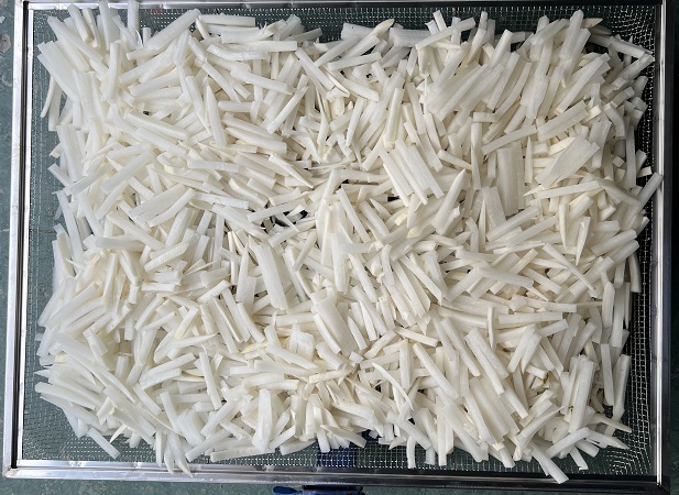 Drytech food dehydrator use for drying radish sticks