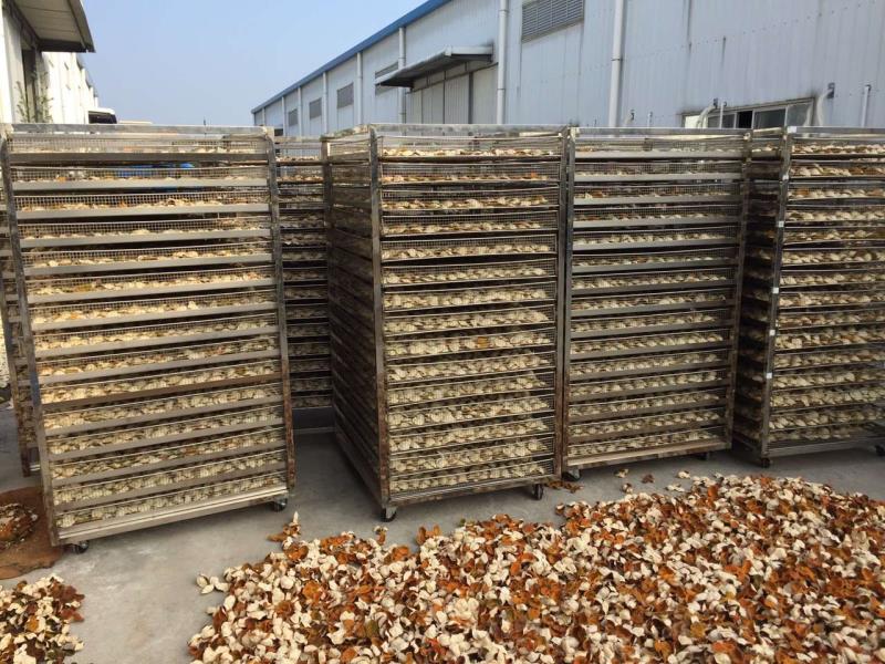 Drying Chenpi(orange peel) - Enhance Your Chenpi(orange peel) Production Efficiency and Quality!