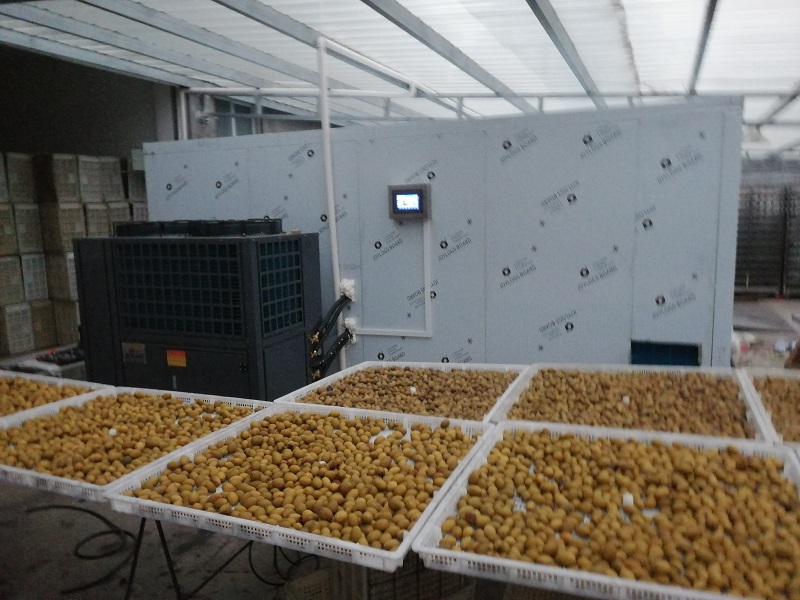 Drytech heat pump drying machine drying olives