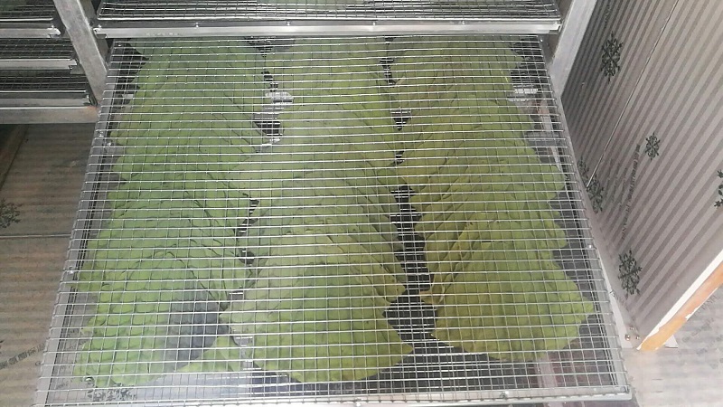 Lotus leaves drying machine,  Lotus leaves dehydrators